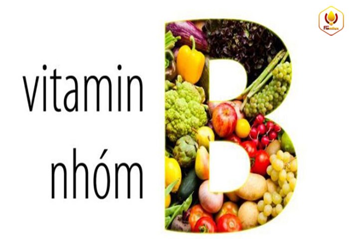 Các vitamin nhóm B